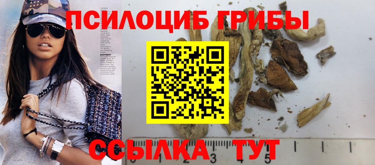 Лосино-Петровский  Галлюциногенные грибы Psilocybine cubensis  магазин    Вход с VPN  Псилоцибиновые грибы Cubensis 